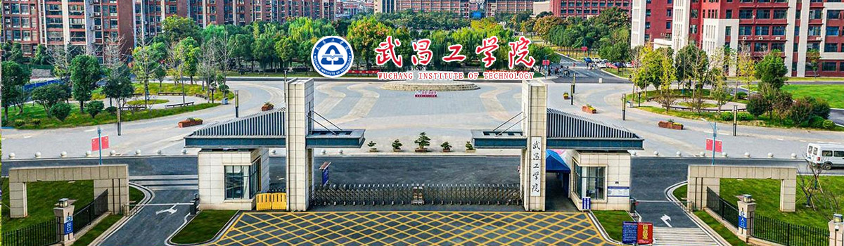 武昌工学院2022年各类教师引进计划